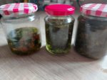 Löwenzahn Salbe – Bild 3