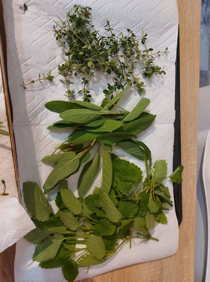 Winter- FIT- Balsam Erwachsene – Bild 5
