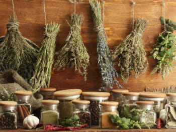 Winter- FIT- Balsam Erwachsene