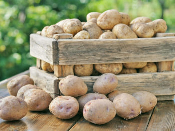 Kartoffelsalbe