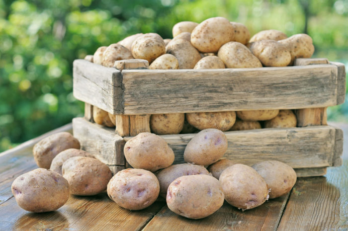 Kartoffelsalbe