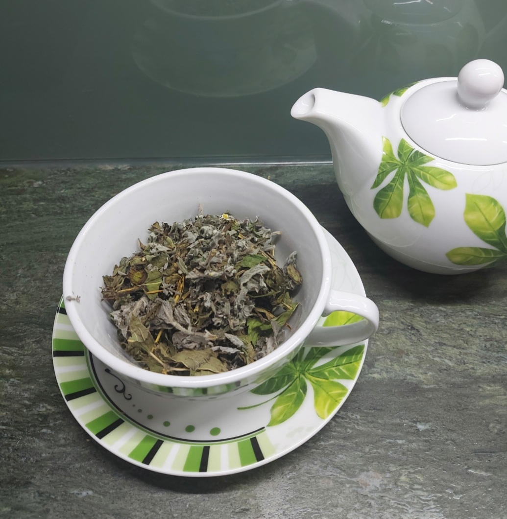 Screenshot_20220416-121459_Gallery Pfefferminztee