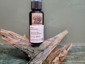 Beifuß Schnaps 50ml