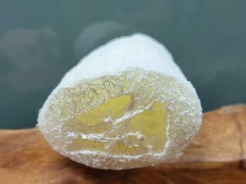 Luffa Schwamm