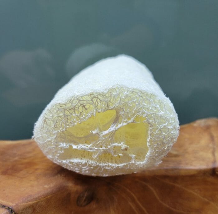 Luffa Schwamm